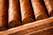 Cigars in humidor
