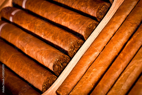 Photo: Cigars in humidor Cigars in humidor