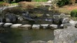 Bezaubernder Park Japan / Full Hd Video Bezaubernder Park Japan / Full Hd Video