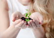 Young woman holding young plant in her hands Young woman holding young plant in her hands
