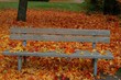 Banc d'Automne