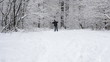 cross-country skiing