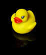 Canard jaune plastique gauche