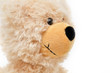 Photo: Teddybär - Portrait Teddybär - Portrait