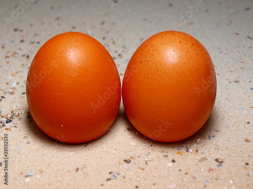 Foto: Hühnereier Hühnereier
