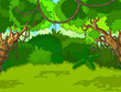 Tropical Forest Landscape