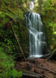 Berry Creek Falls, Big Basin, CA