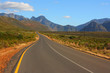 Scenic road, Western Cape, South Africa