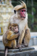 Mother and child close-up