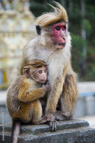 Photo: Mother and child close-up Mother and child close-up