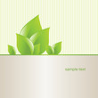 eco card