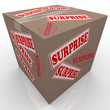 Surprise Box Shipped Cardboard Package