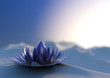 Illustration: Winter zen flower Winter zen flower
