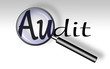Audit - Lupe