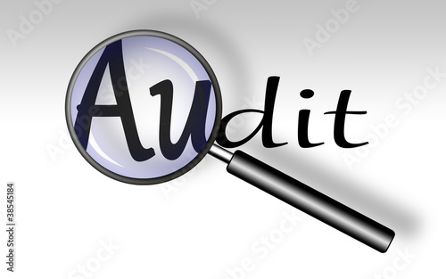 Illustration: Audit - Lupe Audit - Lupe