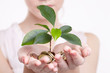 woman's hands holding plant sprouting from a handful of coins