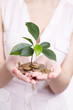 woman's hands holding plant sprouting from a handful of coins