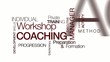 Video: Individual Workshop Coaching tag cloud animation Individual Workshop Coaching tag cloud animation
