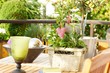 Foto: garten garten