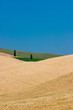 Paesaggio toscano Paesaggio toscano