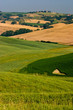 Paesaggio toscano Paesaggio toscano
