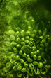 green flower print