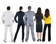 Back view of  business people looks at wall.