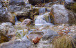 Mountain stream in Crimea