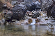 Mountain stream in Crimea