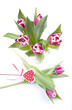 rot - weiße Tulpen mit Herz