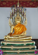 Gold Buddha Gold Buddha