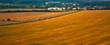 Ripe wheat field with road