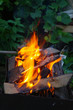 A fire, burning at night on the background of foliage