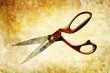 scissor textured print