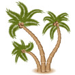 Three Palm Tree Group