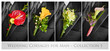 Wedding corsaes for man