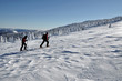 Alpine touring skiers