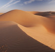 Desert Dune of Abu Dhabi