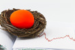 Troubled Nest Egg Troubled Nest Egg