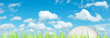 Golf ball on the grass. Panoramic composition.