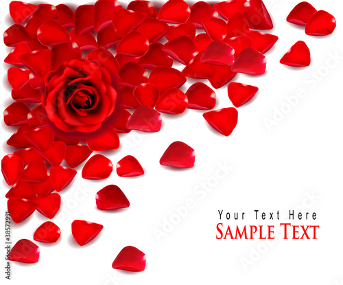 Vector: Background of red rose petals and rose. Vector Background of red rose petals and rose. Vector