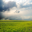 dramatic sky over field