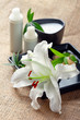 Face/body care concept: lily flower with creams Face/body care concept: lily flower with creams