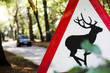 deer warning road sign countryside