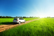 spring field and blured car on ground road