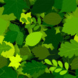 seamless pattern with green leaves. Vector. seamless pattern with green leaves. Vector.