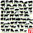 Vector: Dairy Cattle Silhouettes Set Dairy Cattle Silhouettes Set