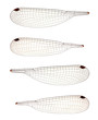 Dragonfly wings