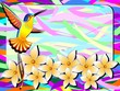 Colibri e Fiori Design-Hummingbird Fantasy Floral Card
