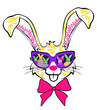 rabbit